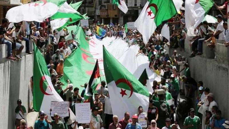 الجزائر.. حبس 19