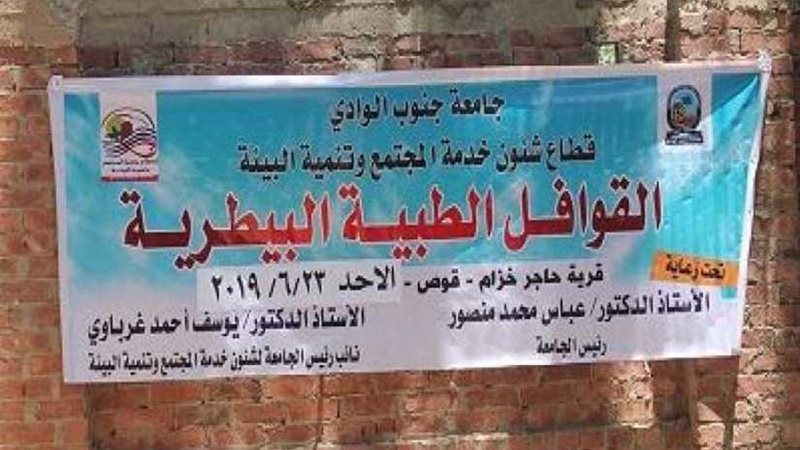 جامعة جنوب الوادى