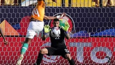 بهدف نظيف.. الأفيال تتخطى 