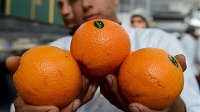 نيوزيلندا تفتح أسواقها للبرتقال المصري