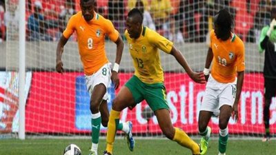 تشكيل الأفيال لمواجهة البافانا بافانا