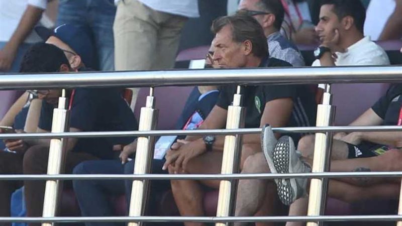 رينارد في السلام