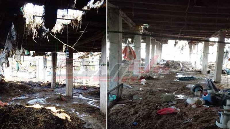 حريق هائل بمزرعة