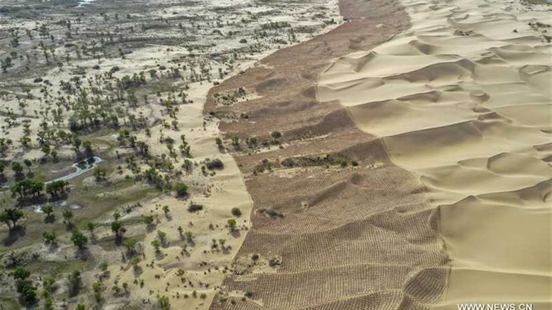 هكذا تواجه الصين