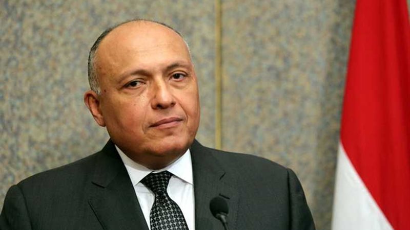 شكرى: لن نفرط فى