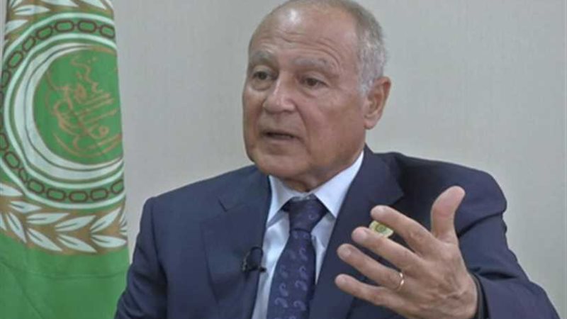 أبو الغيط يشارك في