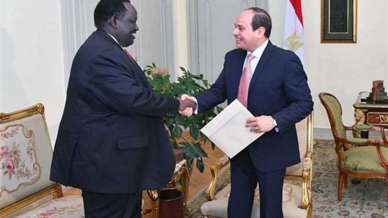 الرئيس السيسي: حريصون