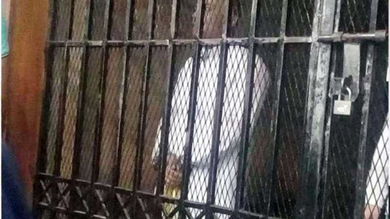 السجن 10 سنوات وغرامة