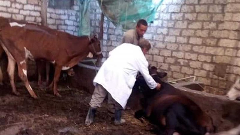 الغربية تعلن نتائج