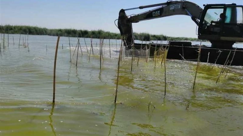 حملة مكبرة لإزالة