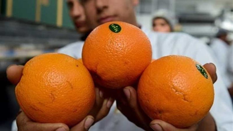 نيوزيلندا تفتح أسواقها