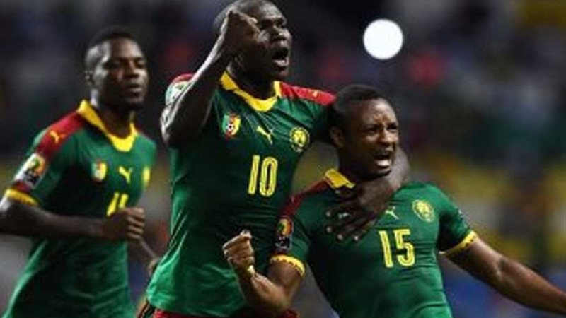 الأسود الجائعة يلتهم