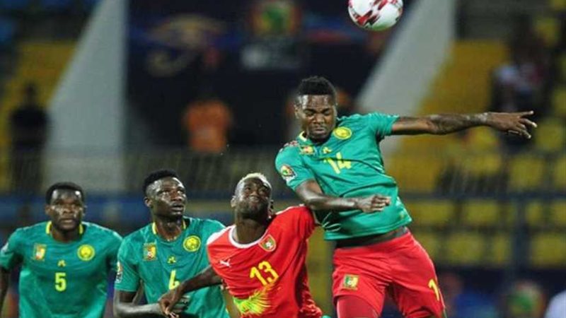 أسود الكاميرون يلتهم