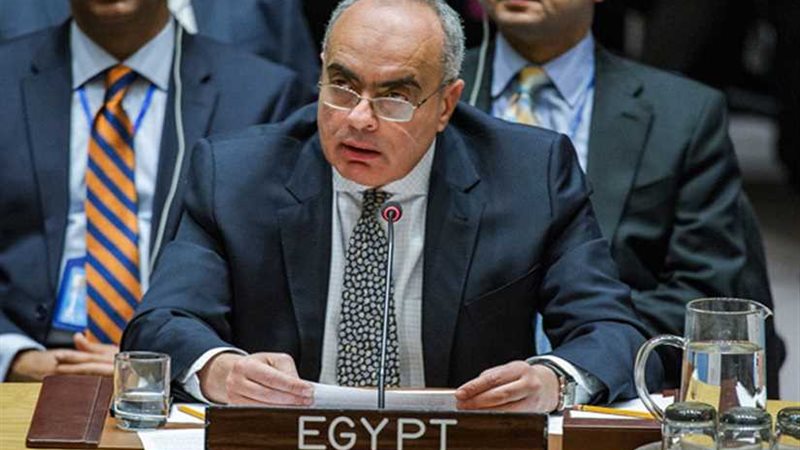 مصر تُشارك في تأسيس