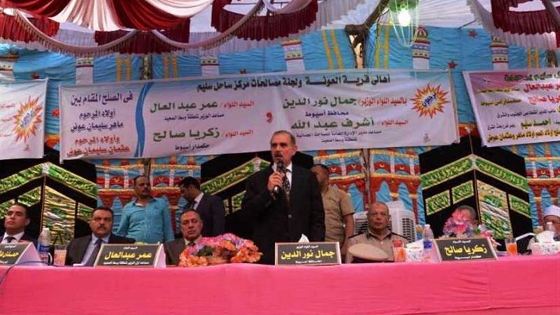 محافظ أسيوط يشهد