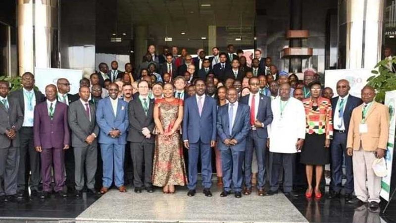 انتخاب مصرعضوًا بمجلس