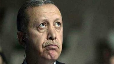 بلومبرج: أردوغان يجر أذيال هزائمه الاقتصادية والسياسية لقمة العشرين