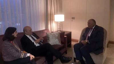 شكري يلتقي نظيره الفرنسي على هامش انعقاد قمة مجموعة العشرين