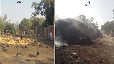 الجيزة ترفع 3800 طن مخلفات من منطقة مقابر أبو والي بالحوامدية