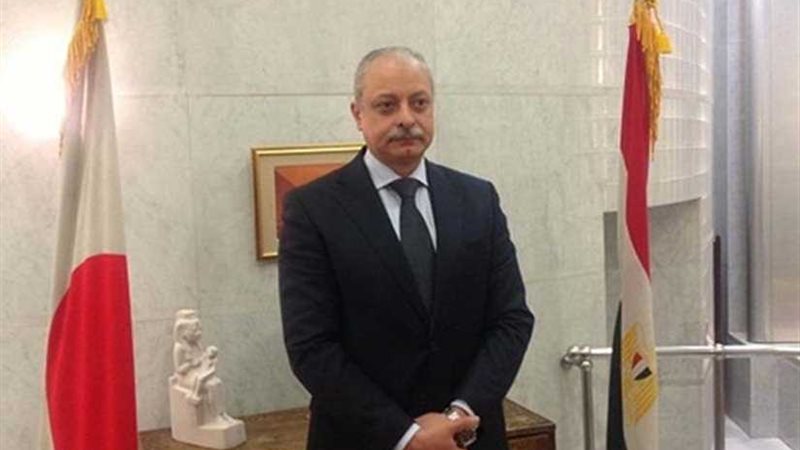 السفير المصري لدى