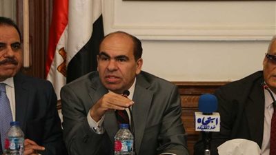 الهضيبي: ثورة 30 يونيو أكدت للعالم أن إرادة المصريين لا تقهر