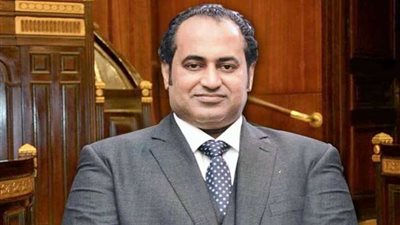 قيادي بمستقبل وطن: ثورة 30 يونيو جسدت ملحمة شعبية للإطاحة بحكم الإرهابية