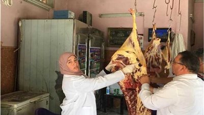 ضبط لحوم وأسماك فاسدة خلال حملة بمركزي نبروه ومنية النصر