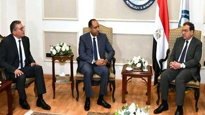 وزير البترول يبحث المشروعات المشتركة مع رئيس 