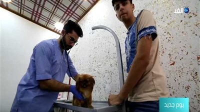 شاهد.. أول عيادة بيطرية للحيوانات الأليفة بالموصل