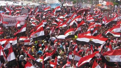 سياسيون: 30 يونيو جاءت لتخلص مصر والمنطقة العربية من شرور جماعات الشر والظلام والإرهاب