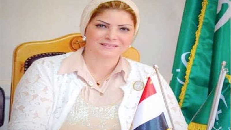 العبسي: 30 يونيو