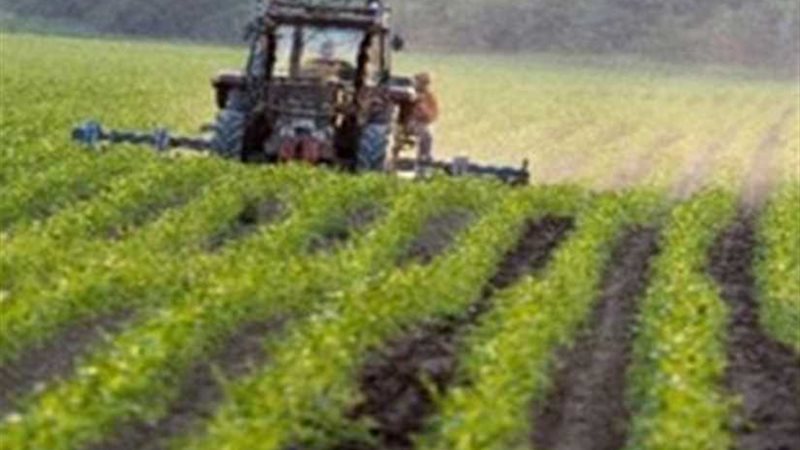 إزالة 587 حالة تعد