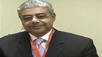 القنصل العام في ميلانو: الدولة المصرية حققت نجاحات عديدة فى الداخل والخارج