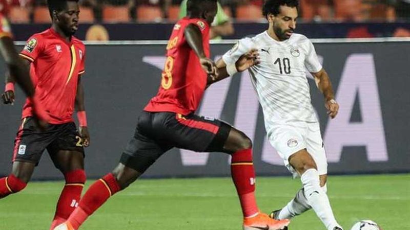 إحصائيات المجموعة