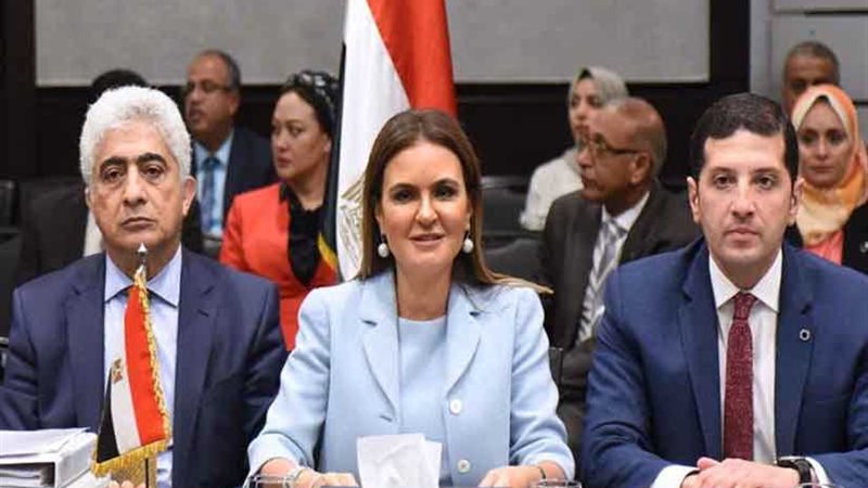 اللجنة العليا المصرية-