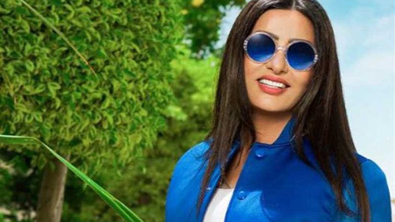 إلغاء حفلين للطيفة