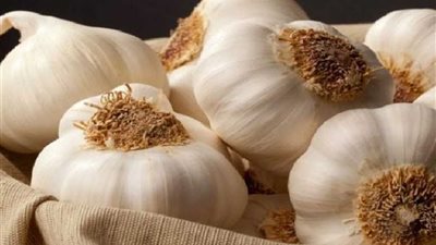 التمثيل التجاري: البرازيل توافق على استيراد الثوم المصري