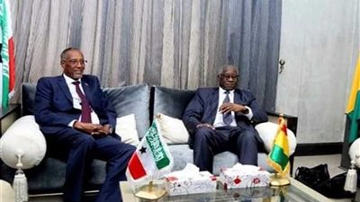 الصومال تقطع العلاقات الدبلوماسية مع غينيا