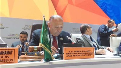 وزير الخارجية: إطلاق منطقة التجارة الحرة الإفريقية يفتح آفاقًا للتكامل والتنمية في ربوع القارة‎