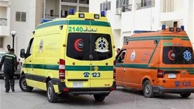 إصابة 4 أشخاص إثر انقلاب تروسيكل في البحر الصغير بالدقهلية