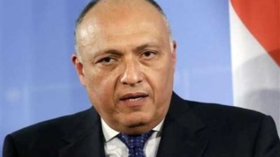 شكري يؤكد أهمية دعم السلم والأمن في القارة الأفريقية