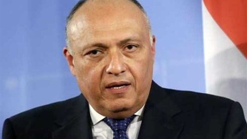 شكري يؤكد أهمية دعم