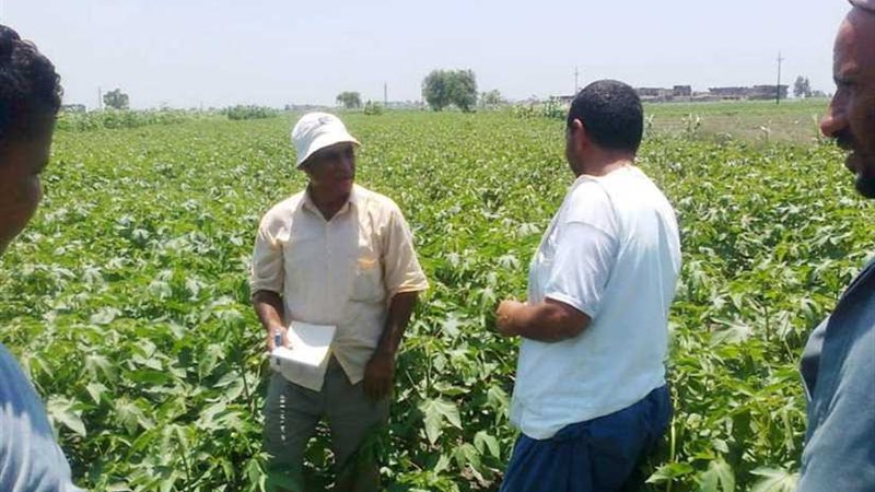 تكثيف أعمال مكافحة