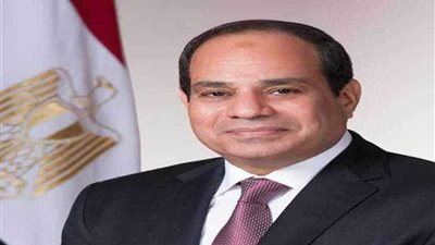 الرئيس السيسى يصل إلى النيجر لرئاسة القمة الافريقية الاستثنائية