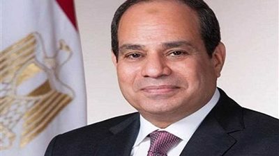 الرئيس السيسى: اتفاقية التجارة الحرة الأفريقية انجاز كبير