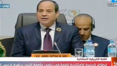 السيسي يترأس قمة تنسيقية مصغرة بين الاتحاد الإفريقي والمجموعات الاقتصادية بالنيجر