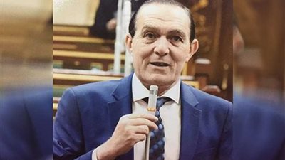 برلماني: القمة الإفريقية الاستثنائية تستهدف زيادة حجم التبادل التجاري بحوالي 60% بحلول عام 2022