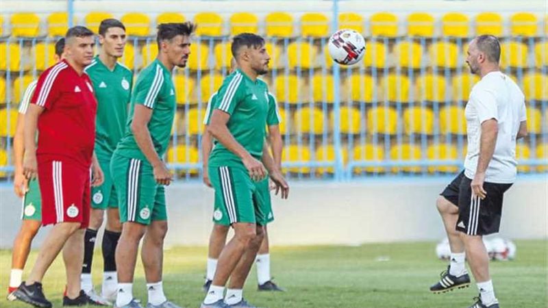 تشكيل محاربي الصحراء