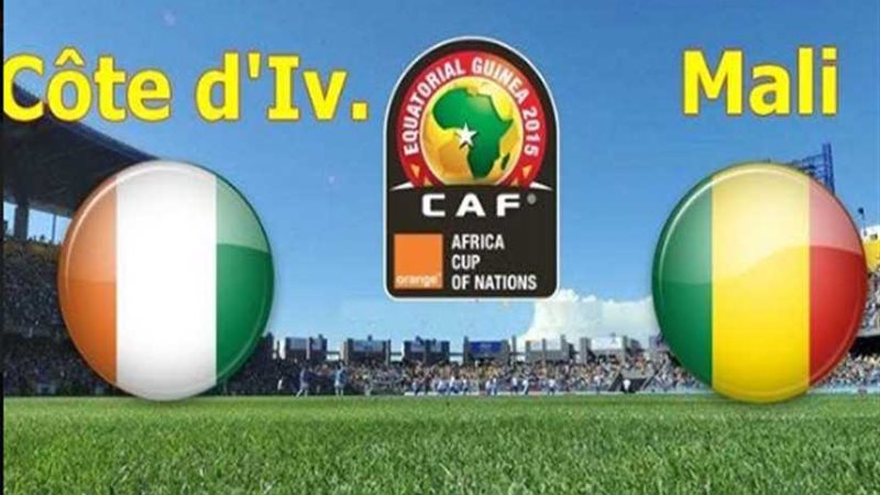 الأفيال والنسور..