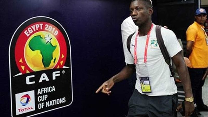 صور.. وصول الأفيال